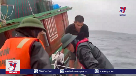 Kịp thời cứu 3 ngư dân gặp nạn trên vùng biển Cô Tô 