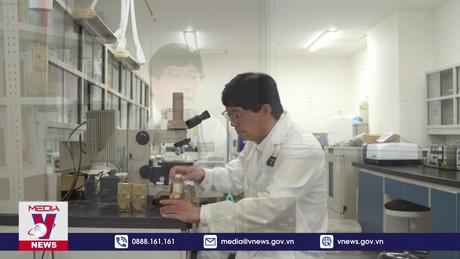 Nitasora - Liệu pháp tái sinh tế bào gan nội sinh