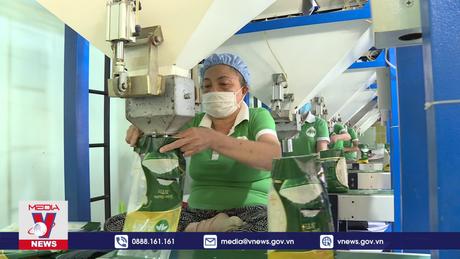 Áp giá sàn xuất khẩu gạo - 