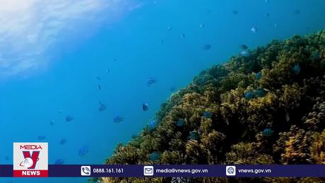 Nha Trang lọt top thành phố đẹp nhất thế giới dành cho người nghỉ hưu