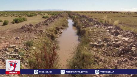 Liên hợp quốc kêu gọi bảo vệ tự nhiên