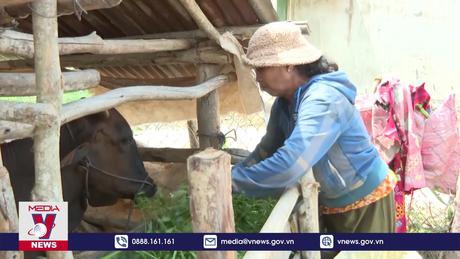 Đắk Lắk hỗ trợ vùng đồng bào thiểu số thoát nghèo