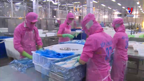 越通社新闻 - Bản tin tiếng Trung ngày 06/6/2024
