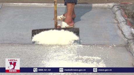 Tháo gỡ khó khăn cho người làm muối Nam Định