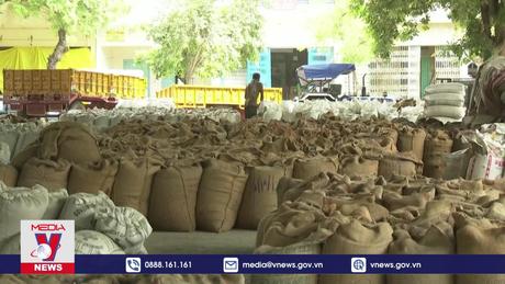 Philippines thông báo giảm thuế nhập khẩu gạo