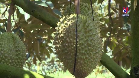 Nhật trình kinh tế ngày 06/6/2024