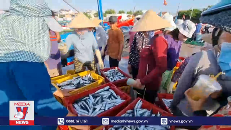 Ninh Thuận quyết liệt chống khai thác IUU