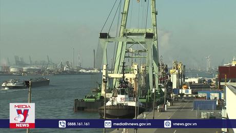 Bỉ ngừng xuất khẩu dầu chất lượng kém sang châu Phi