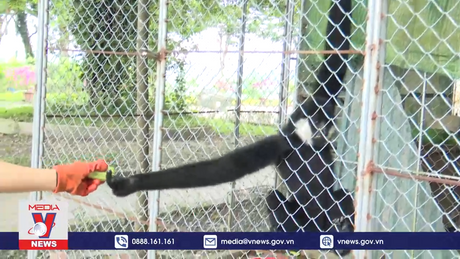 Vườn Quốc gia Vũ Quang hồi sinh động vật quý hiếm