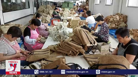 Thoát nghèo từ nghề “đan rơm” truyền thống tại Trung Quốc
