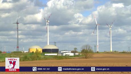 Năng lượng tái tạo đáp ứng gần 30% nhu cầu điện năng tại Bỉ