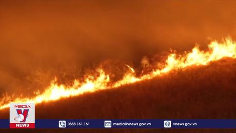 Hơn 52.000 người tử vong do ô nhiễm cháy rừng ở Mỹ