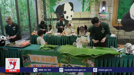 Làm bánh cho gấu trúc tại Trung Quốc