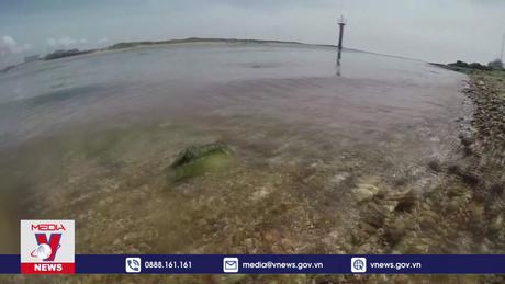 Vùng biển nước Anh nhiễm ma túy, dược phẩm