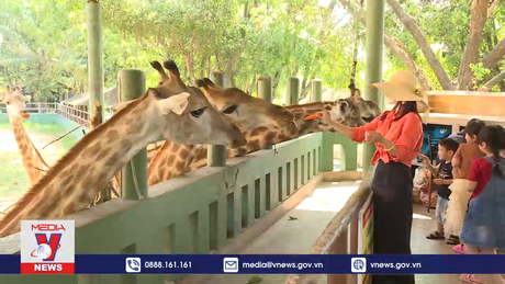 Vui hè cùng vườn thú