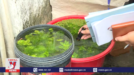 TP.HCM cảnh giác dịch sốt xuất huyết ở các điểm nguy cơ