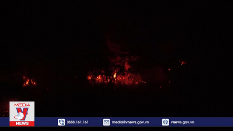 Cháy rừng nghiêm trọng ở vùng đầm lầy nhiệt đới lớn nhất thế giới