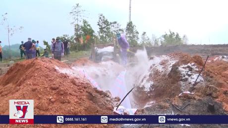 Khẩn trương ứng phó với dịch tả lợn châu Phi