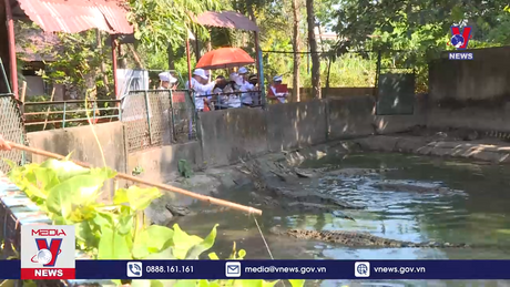 Bản tin thời sự 11h ngày 10/6/2024