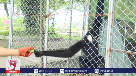 Bảo tồn nhiều cá thể quý, hiếm trong “Ngôi nhà Sao la”