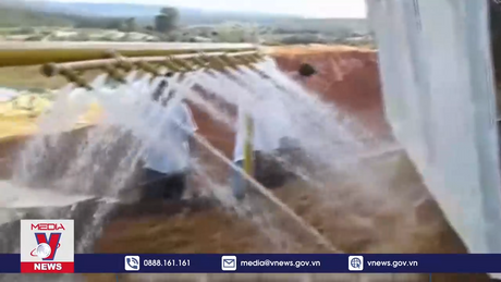 Ngành khai thác vàng đứng trước khó khăn