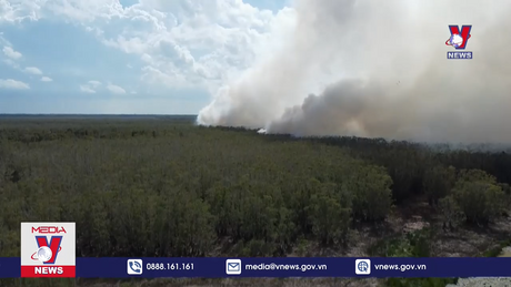 Cháy rừng tại Vườn Quốc gia Tràm Chim