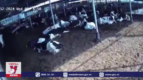 Động đất mạnh tại Hàn Quốc