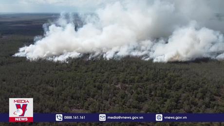 Hơn 20 ha Vườn Quốc gia Tràm Chim bị cháy