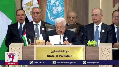 Lãnh đạo nhiều nước kêu gọi tăng cường viện trợ cho Gaza