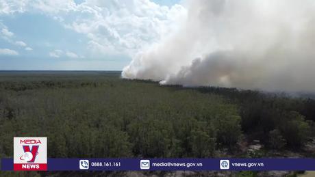 Điều tra vụ cháy rừng tại Vườn Quốc gia Tràm Chim