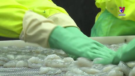 Nhật trình kinh tế ngày 12/6/2023