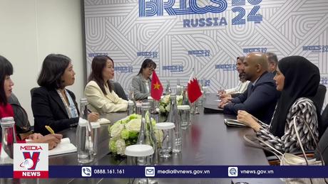 Việt Nam dự phiên Đối thoại giữa BRICS với các nước đang phát triển