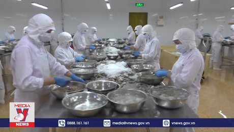 Chạy đua xuất khẩu thủy sản nửa cuối năm