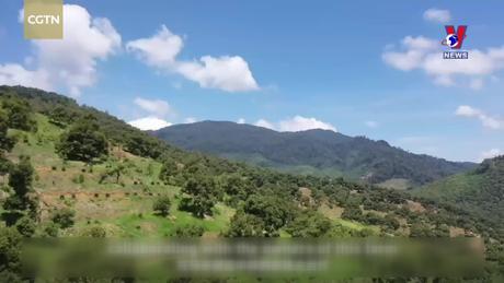 Tương Lai Xanh ngày 13/06/2024