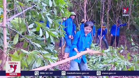 Tuổi trẻ Thanh Hóa chung tay hỗ trợ thi công đường dây 500 KV mạch