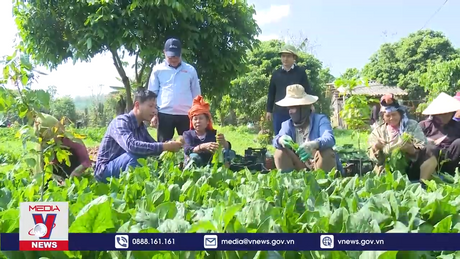 Tập trung phát triển chuỗi liên kết trong sản xuất