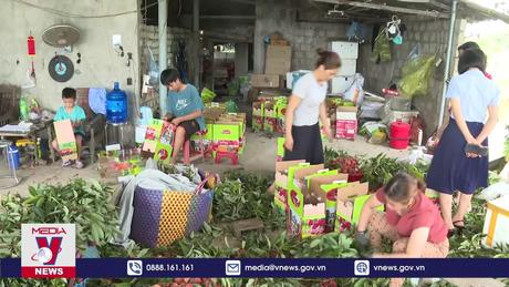 Bám sát kế hoạch xuất khẩu nông sản mùa vụ 