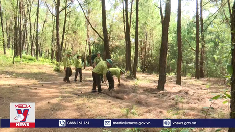 Sẵn sàng chống “giặc lửa” trên dãy Hồng Lĩnh