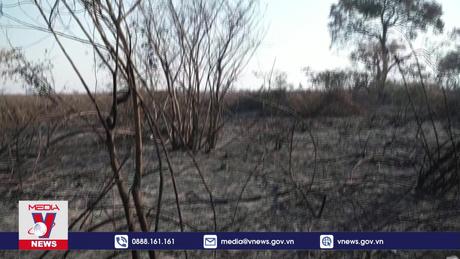 Hỏa ngục - Khi những vùng đầm lầy trở nên khô cạn