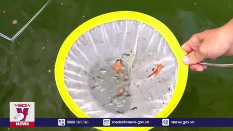 Cà Mau chủ động kiếm soát chặt chẽ bệnh sốt xuất huyết