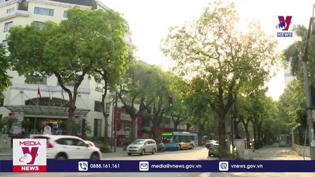 Bản tin thời sự 08h ngày 15/6/2024