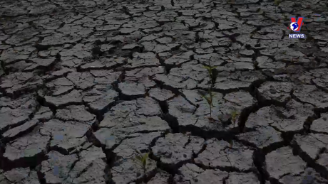 Góc nhìn VNews: 30 năm ngày quốc tế chống sa mạc hóa và hạn hán