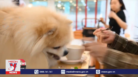 Nhu cầu nuôi thú cưng bùng nổ tại Hàn Quốc