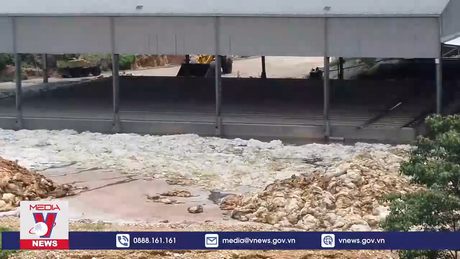 Nước Suối Tân ô nhiễm do sự cố tắc đường ống nhà máy cao su