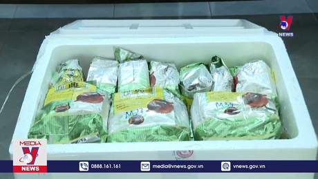 Bắt hai đối tượng người dân tộc vận chuyển 30kg ma túy