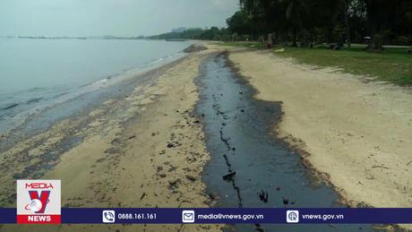 Singapore đóng cửa các công viên ven biển do sự cố dầu loang