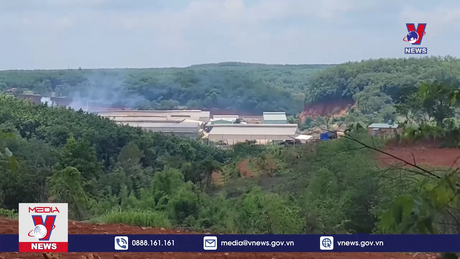 Bản tin thời sự 8h ngày 16/6/2024