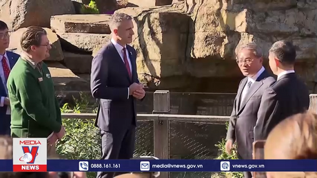 Trung Quốc và Australia hợp tác bảo vệ gấu trúc