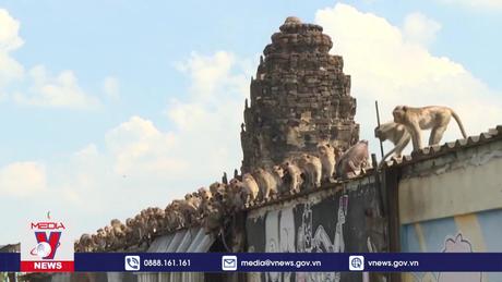 Thái Lan đối phó với 