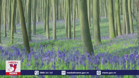 EU nhất trí thông qua luật bảo vệ thiên nhiên